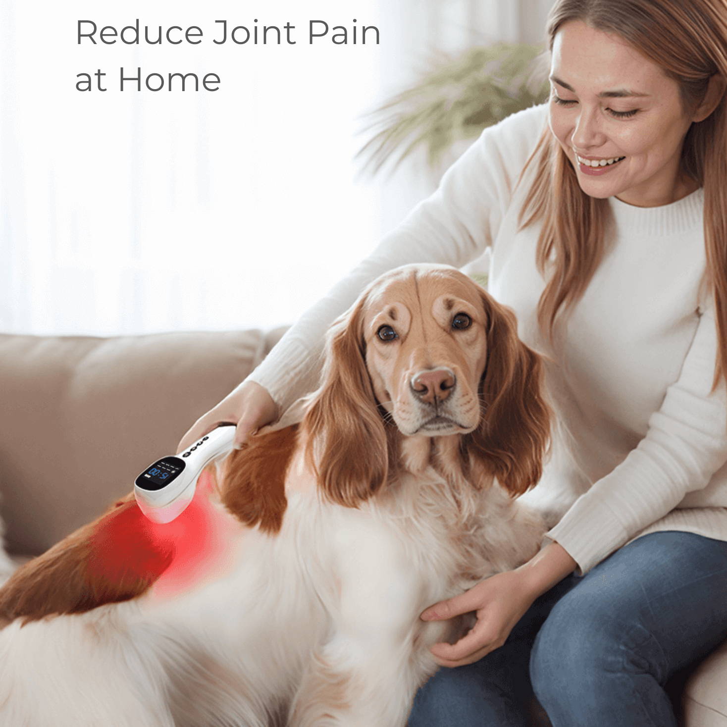 Cold Laser Therapy Device for dogs and cats. Relieve muscle aches